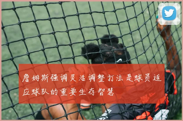 詹姆斯强调灵活调整打法是球员适应球队的重要生存智慧